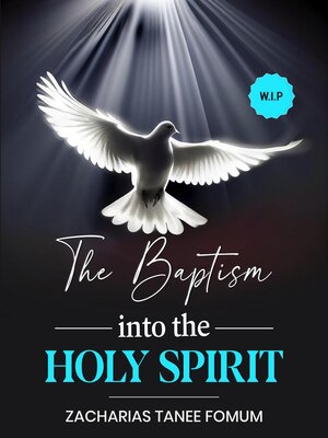 cover image of The Baptism into the Holy Spirit